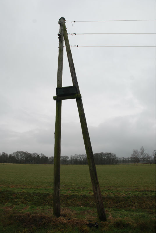 DSC_0479.jpg