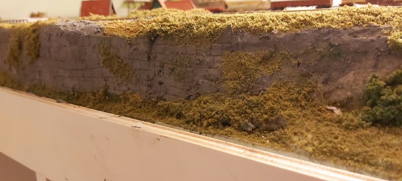 20201108_191816.jpg