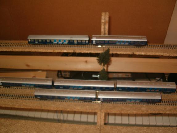 010.JPG