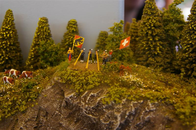Afbeelding 471 (Medium).jpg