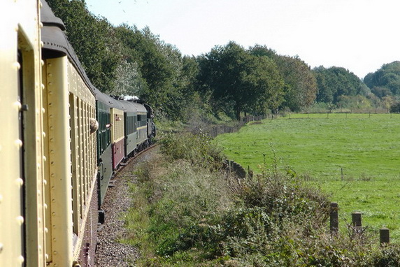 S1190011_resize_resize_resize.JPG
