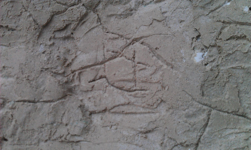 IMAG0138.jpg