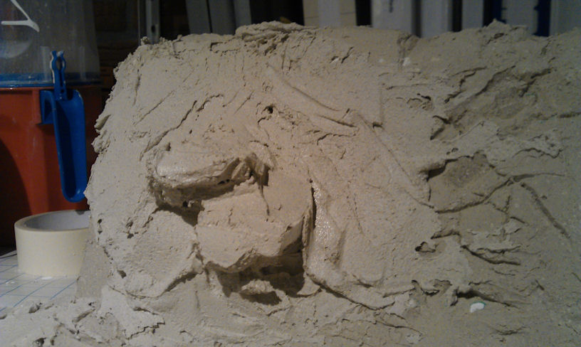 IMAG0139.jpg
