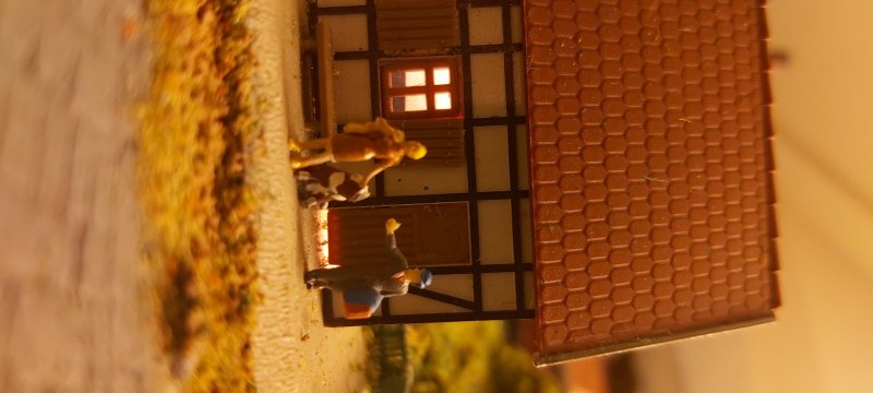 Reichenbach bij Nacht39.jpg