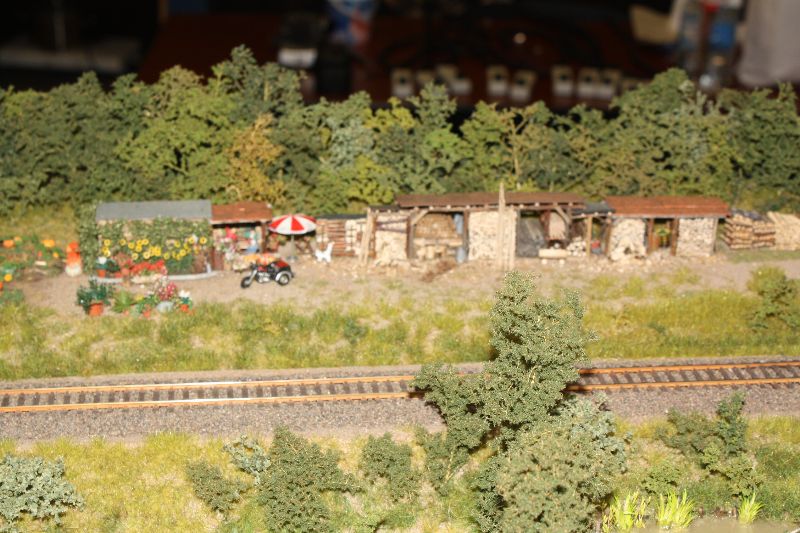 Herschaalde kopie van rails 2010 houten 053.jpg