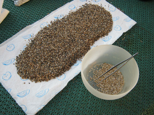 afb013.jpg