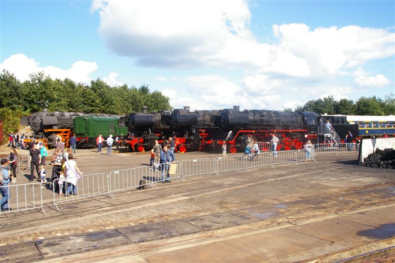 Afbeelding 476 (Medium).jpg