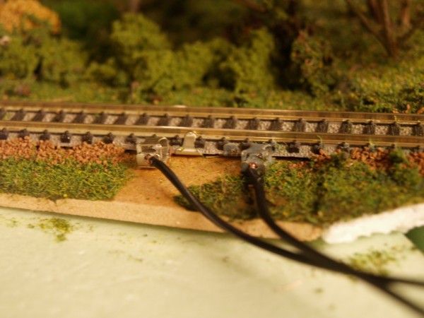P3110217 (600 x 450).jpg